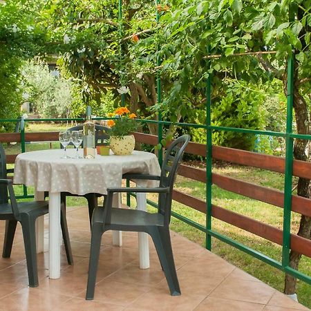 Studio And Apartment Nadia With Garden Poreč Exteriér fotografie